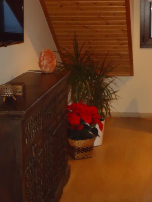 Petralona Apartment Agios Athanasios Екстериор снимка